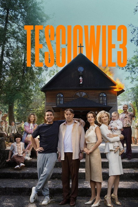 The In-Laws 3