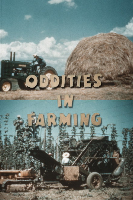 Oddities in Farming