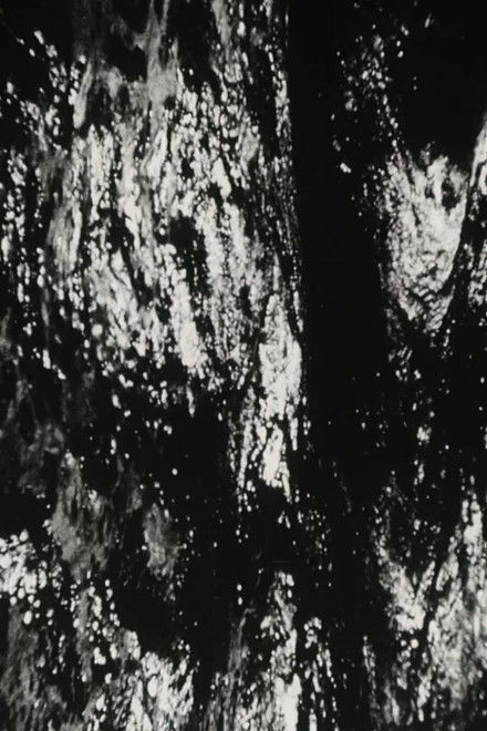 Bitemporal Vision: The Sea