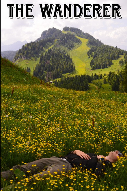 The Wanderer