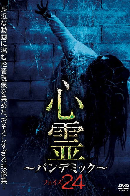 Spirit Pandemic Phase 24