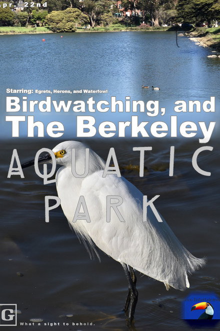 The Berkeley Aquatic Park