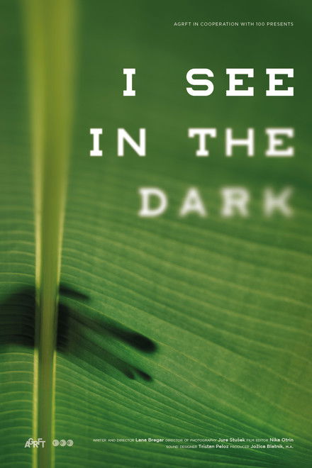 I See in the Dark