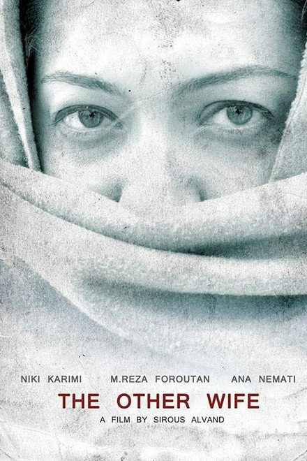The Other Wife