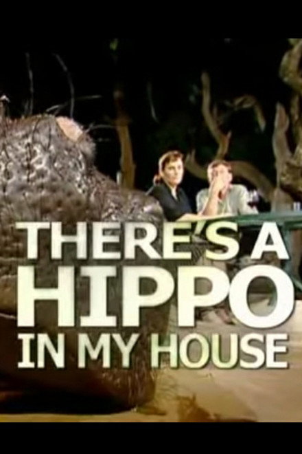 Jessica the Hippo