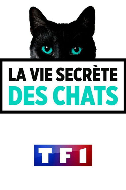 La Vie secrète des chats