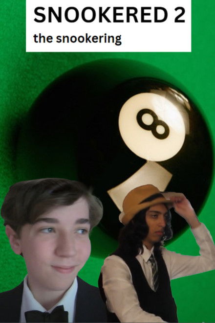 Snookered 2