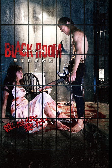 BLACK ROOM 異常性愛の檻
