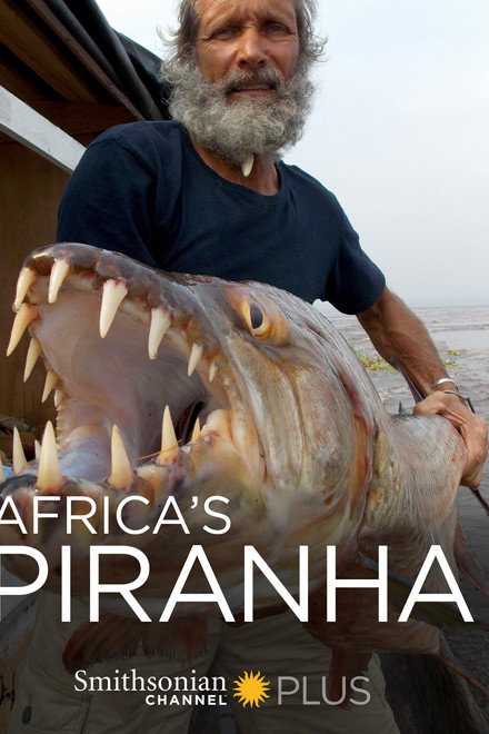 Africa's Piranha