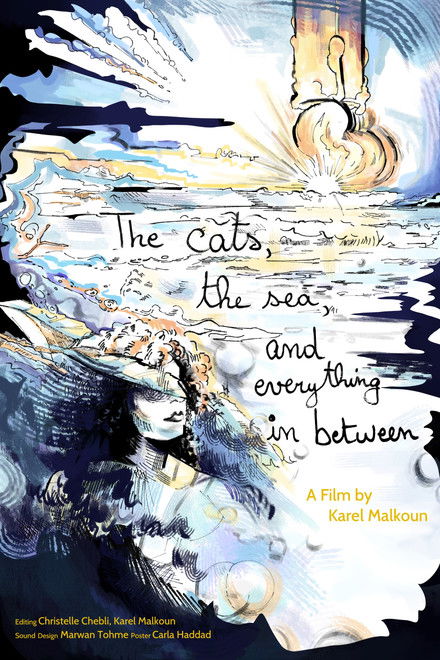 The cats, the sea, and everything in between.