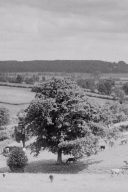 The Chiltern Country