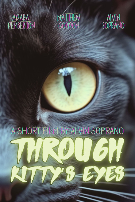 Through Kitty’s Eyes