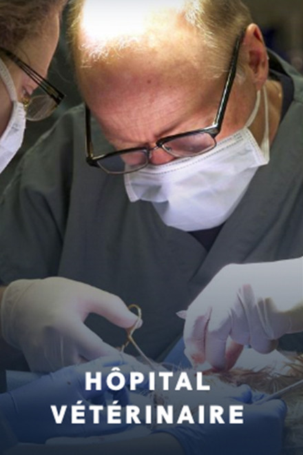 Hôpital vétérinaire