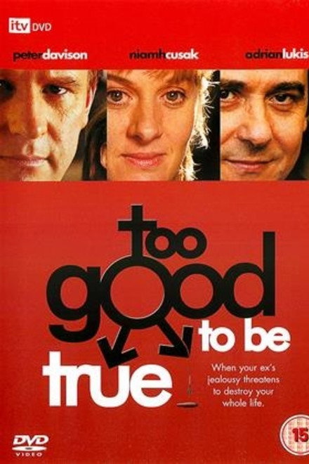 Too Good to Be True