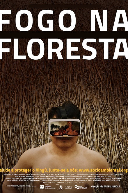 Fire in the Forest