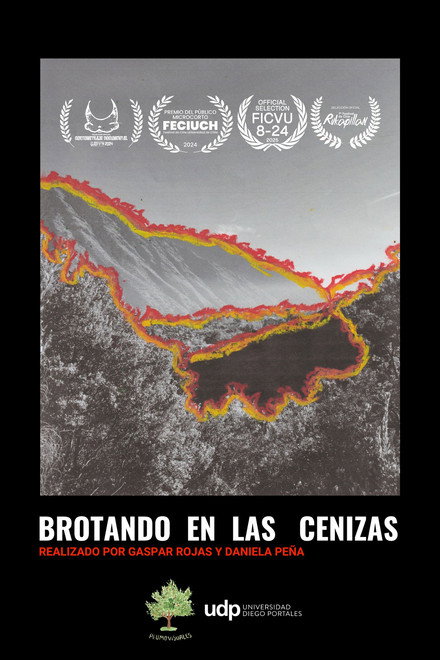 Brotando en las cenizas