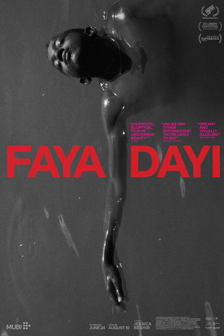 Faya Dayi