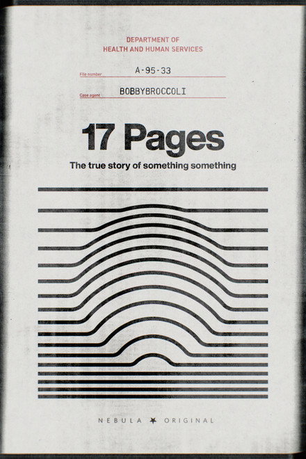 17 Pages