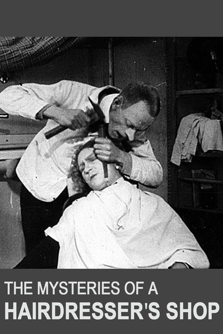 The Mysteries of a Hairdresser's Shop