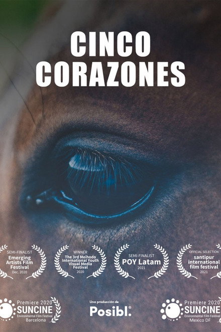 Cinco Corazones