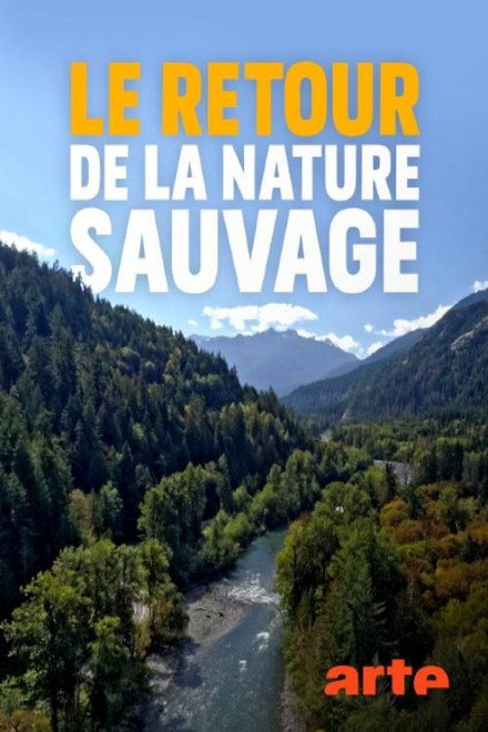 Le retour de la nature sauvage