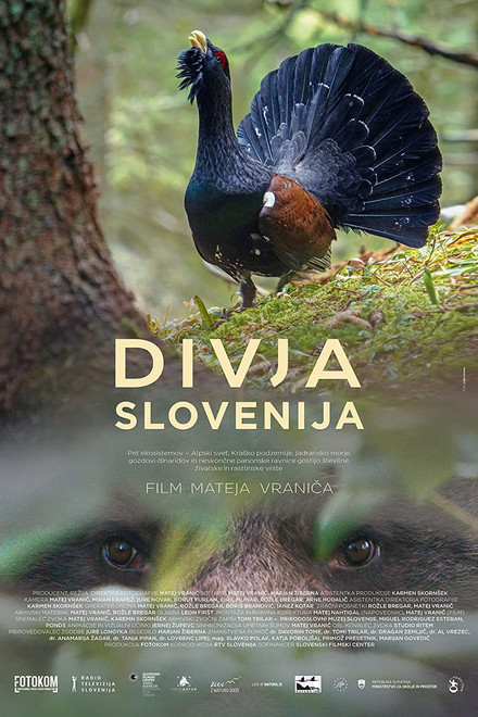 Wild Slovenia