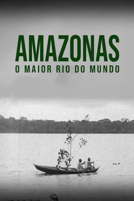 Amazon: Longest River in the World
