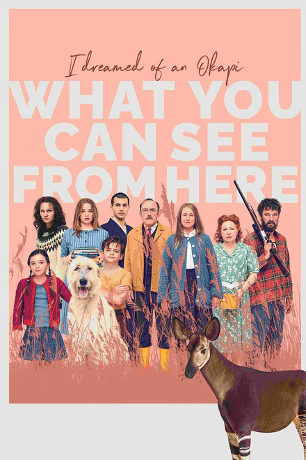 What You Can See from Here