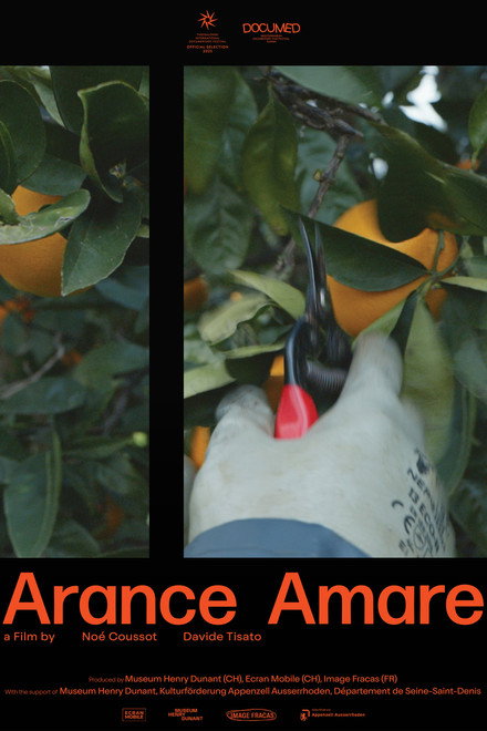 Bitter oranges