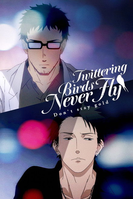 Twittering Birds Never Fly: Don't Stay Gold