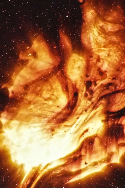 Stellar Iris