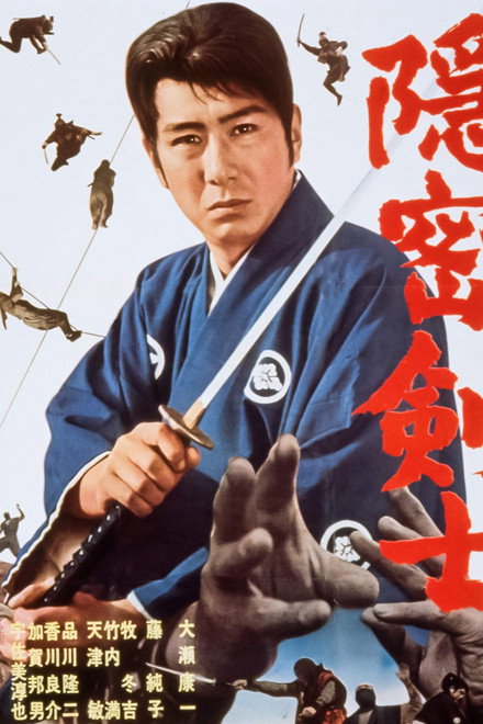 The Detective Fencer