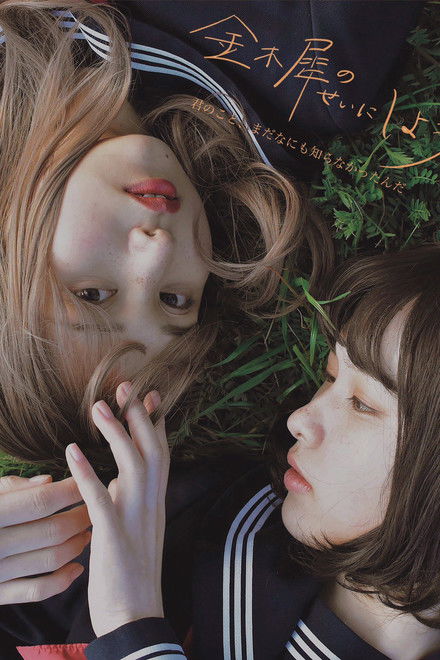 金木犀のせいにしよう