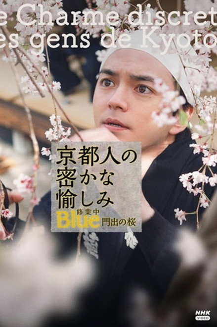 京都人の密かな愉しみBlue修業中 門出の桜