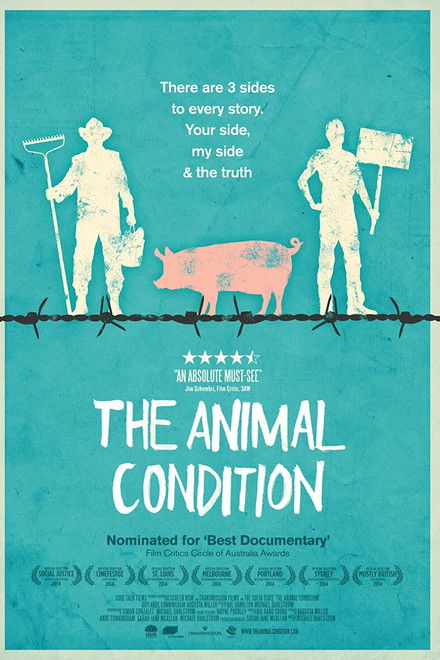 The Animal Condition