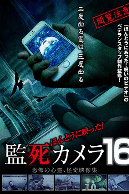 Paranormal Surveillance Camera 16