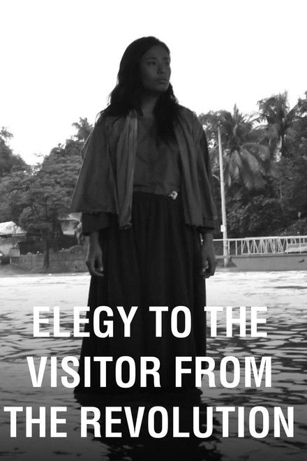 Elegy to the Visitor from the Revolution
