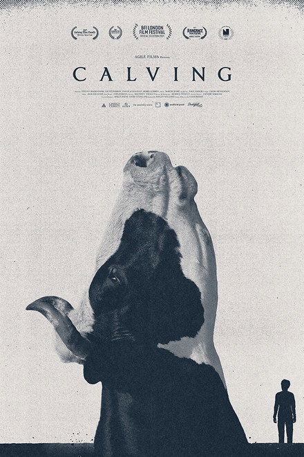 Calving