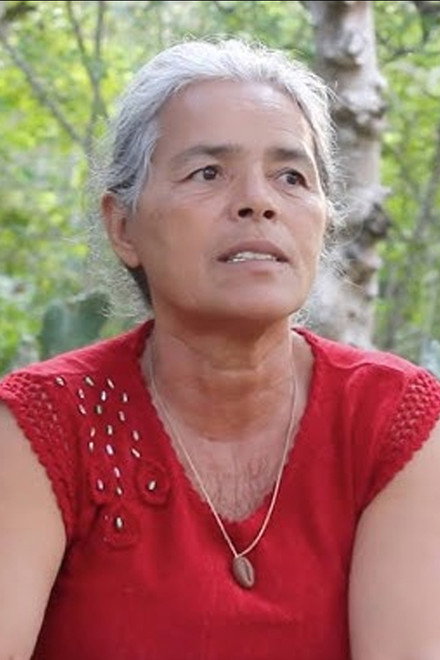 Plantando Água