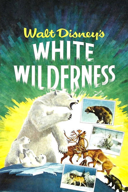 White Wilderness