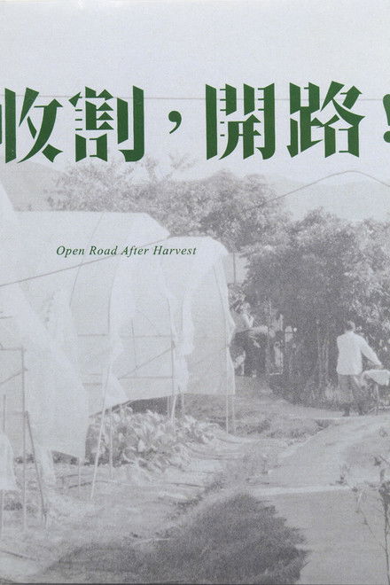 Open Road After Harvest