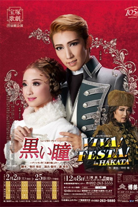 Dark Brown Eyes / Viva! Festa! in Hakata