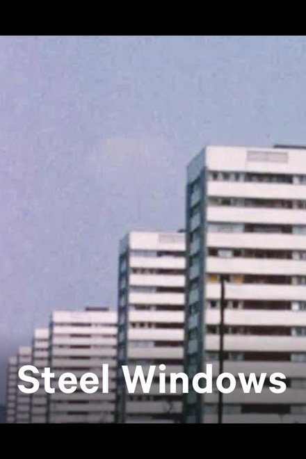 Steel Windows