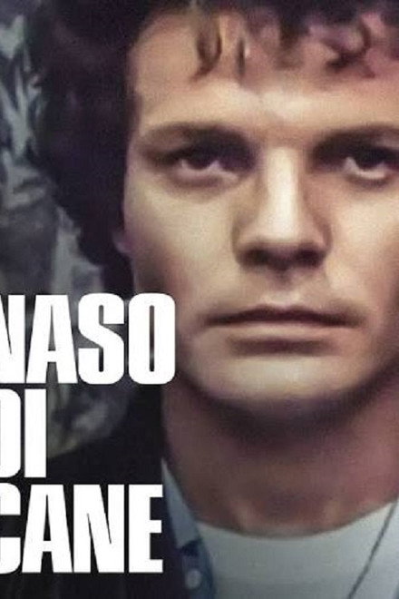 Naso di cane