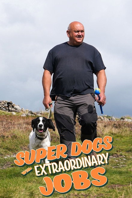 Super dogs with extraordinary jobs