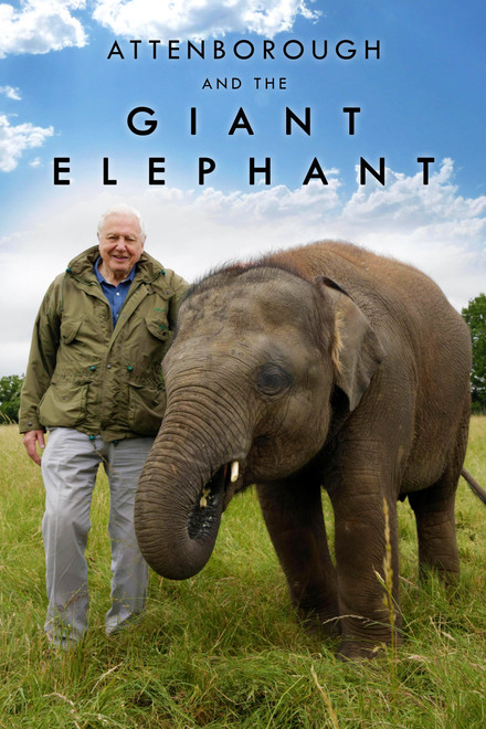 Attenborough and the Giant Elephant