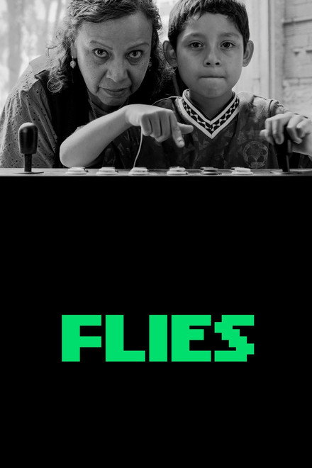 Flies