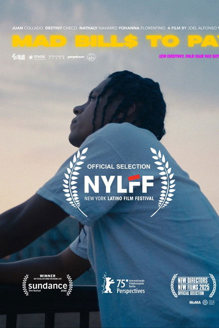 Mad Bills to Pay (or Destiny, dile que no soy malo)