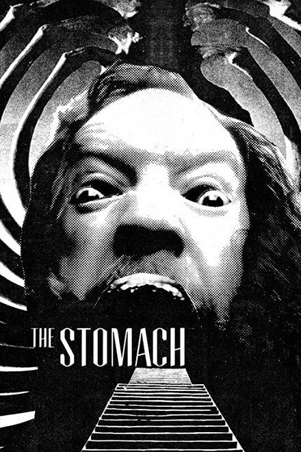 The Stomach