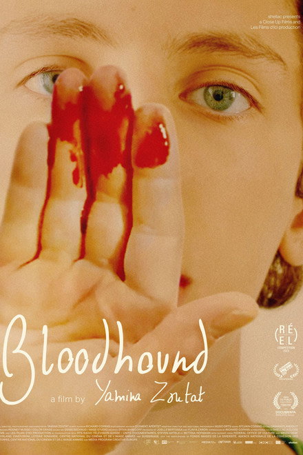 Bloodhound